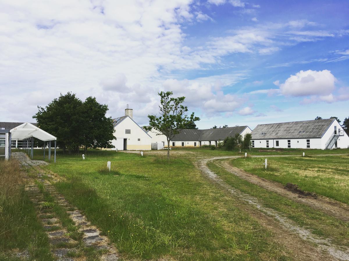 Hotel Hvideklit Ålbæk Kültér fotó